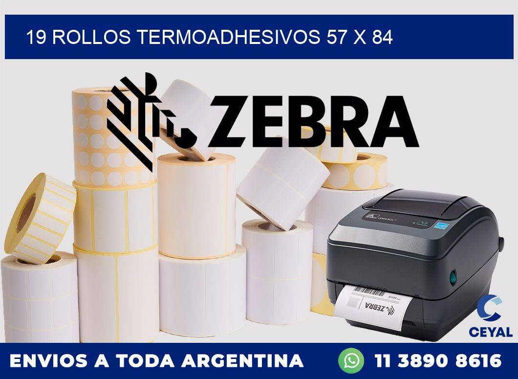 19 ROLLOS TERMOADHESIVOS 57 x 84