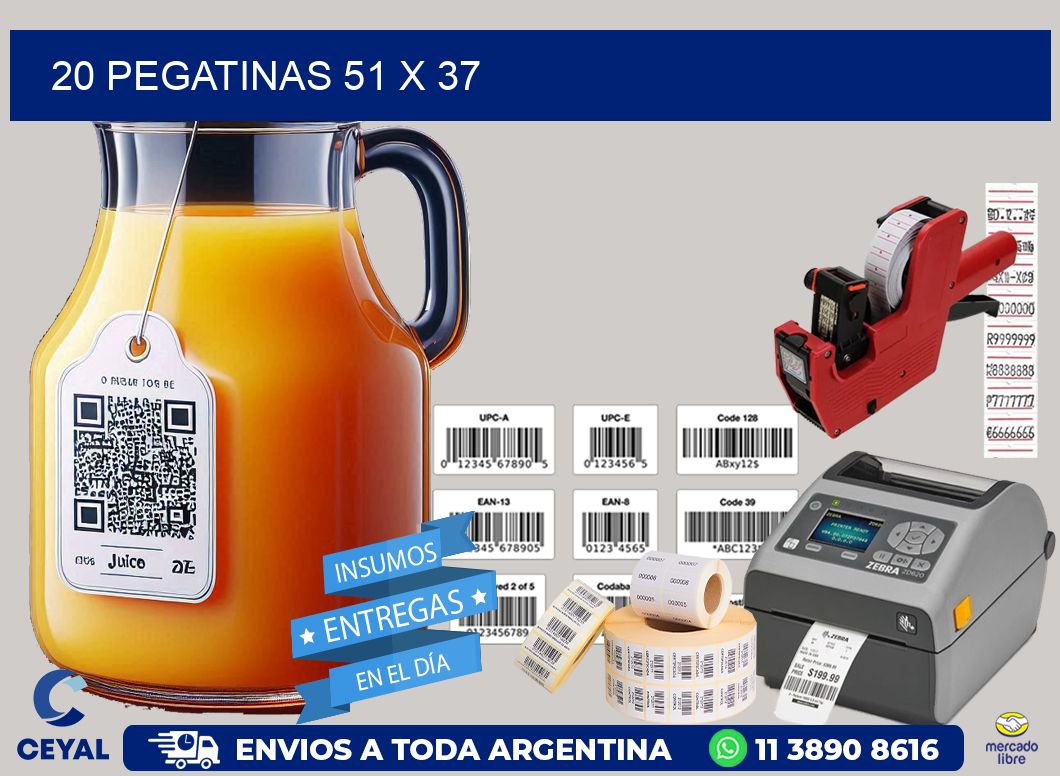 20 PEGATINAS 51 x 37