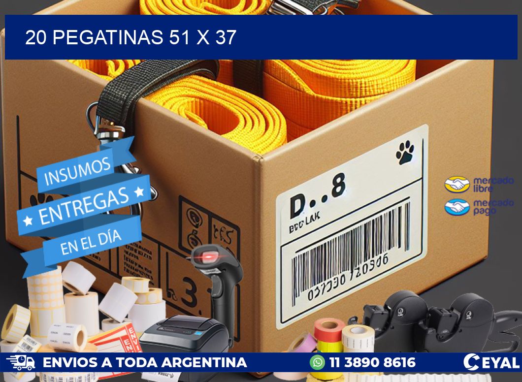 20 PEGATINAS 51 x 37