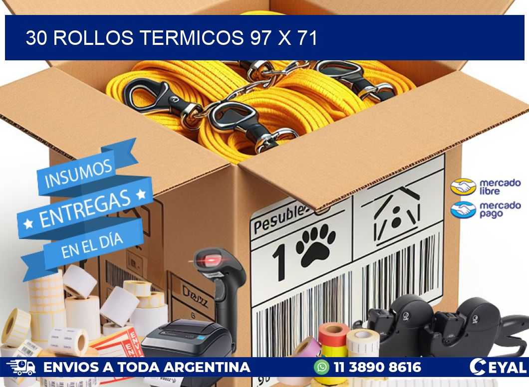 30 ROLLOS TERMICOS 97 x 71