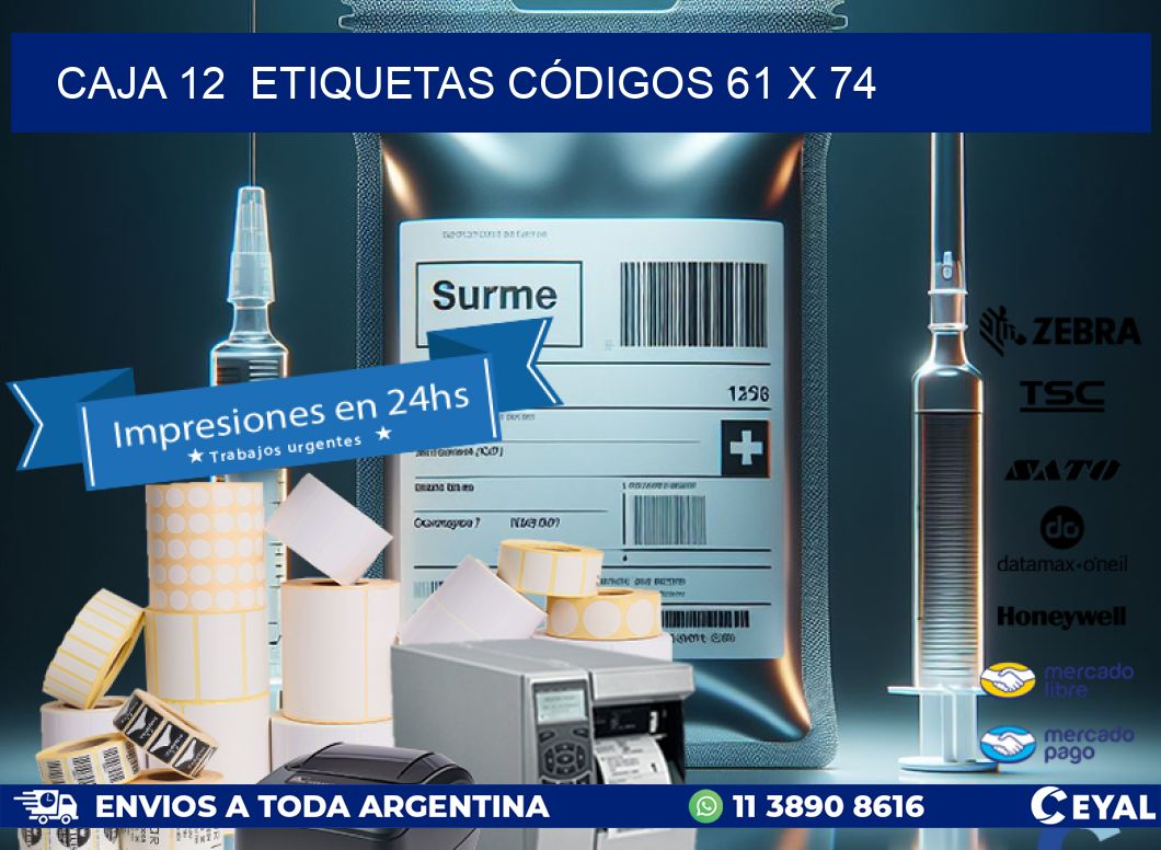 CAJA 12  ETIQUETAS CÓDIGOS 61 x 74