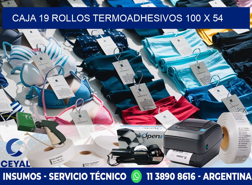 CAJA 19 ROLLOS TERMOADHESIVOS 100 x 54