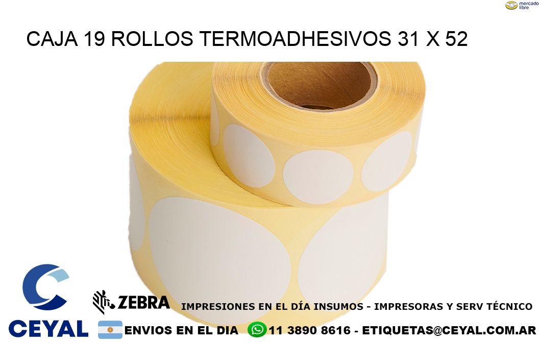 CAJA 19 ROLLOS TERMOADHESIVOS 31 x 52