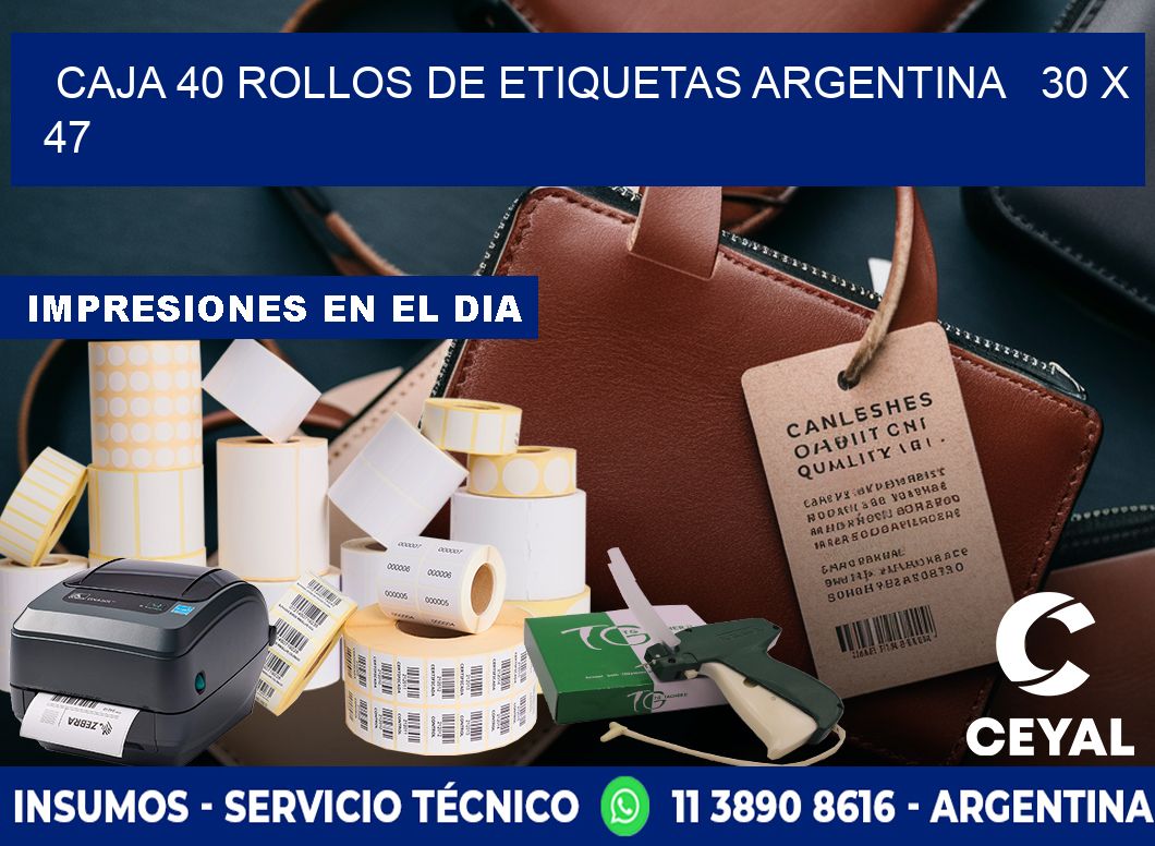 CAJA 40 ROLLOS DE ETIQUETAS ARGENTINA   30 x 47