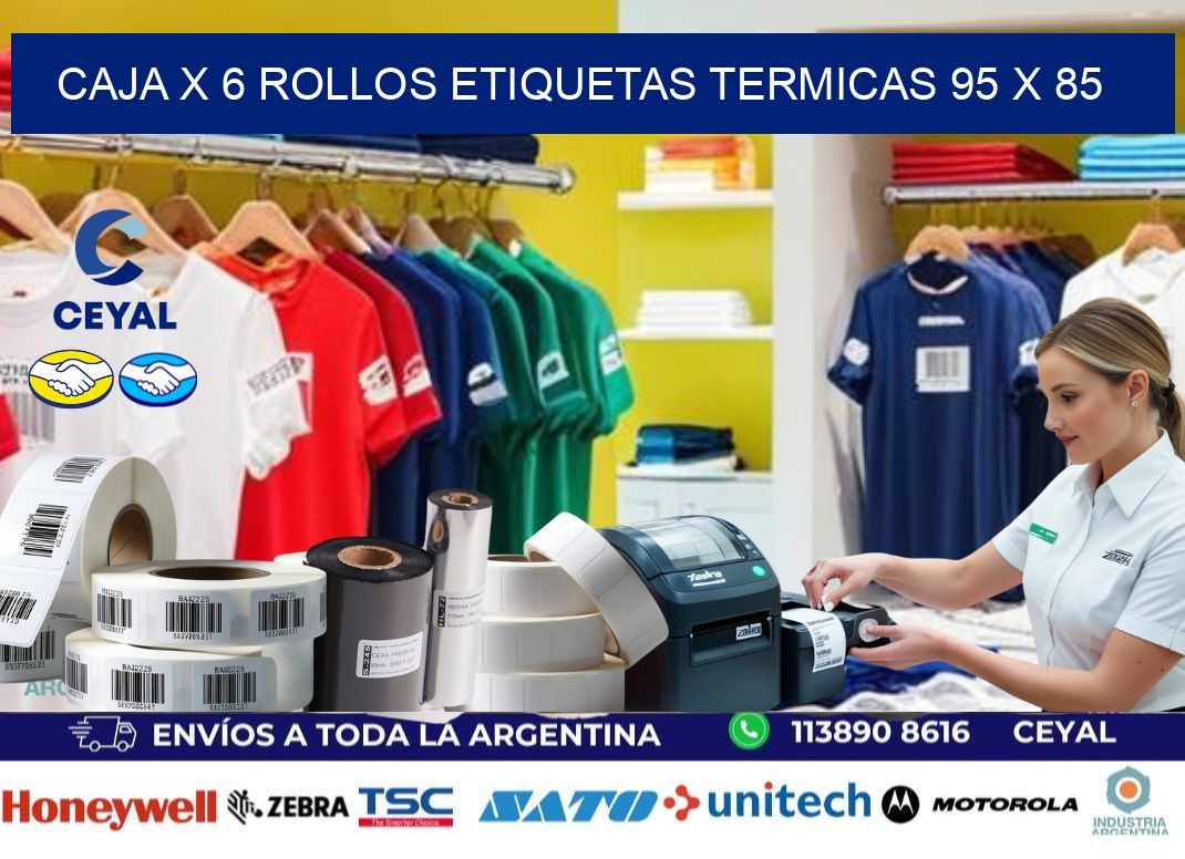 Caja X 6 Rollos Etiquetas termicas 95 x 85