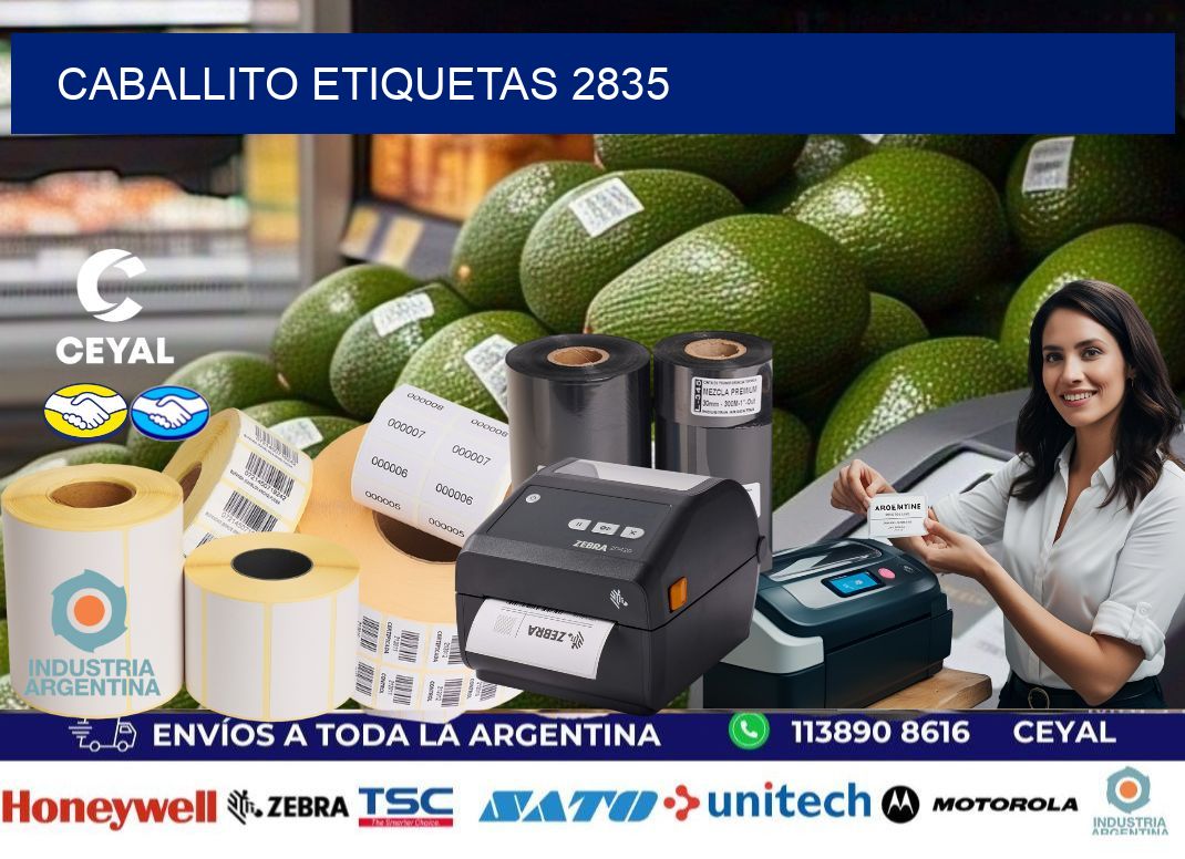 Caballito etiquetas 2835
