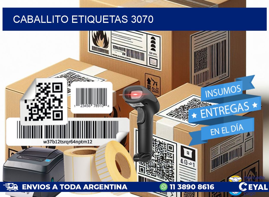 Caballito etiquetas 3070
