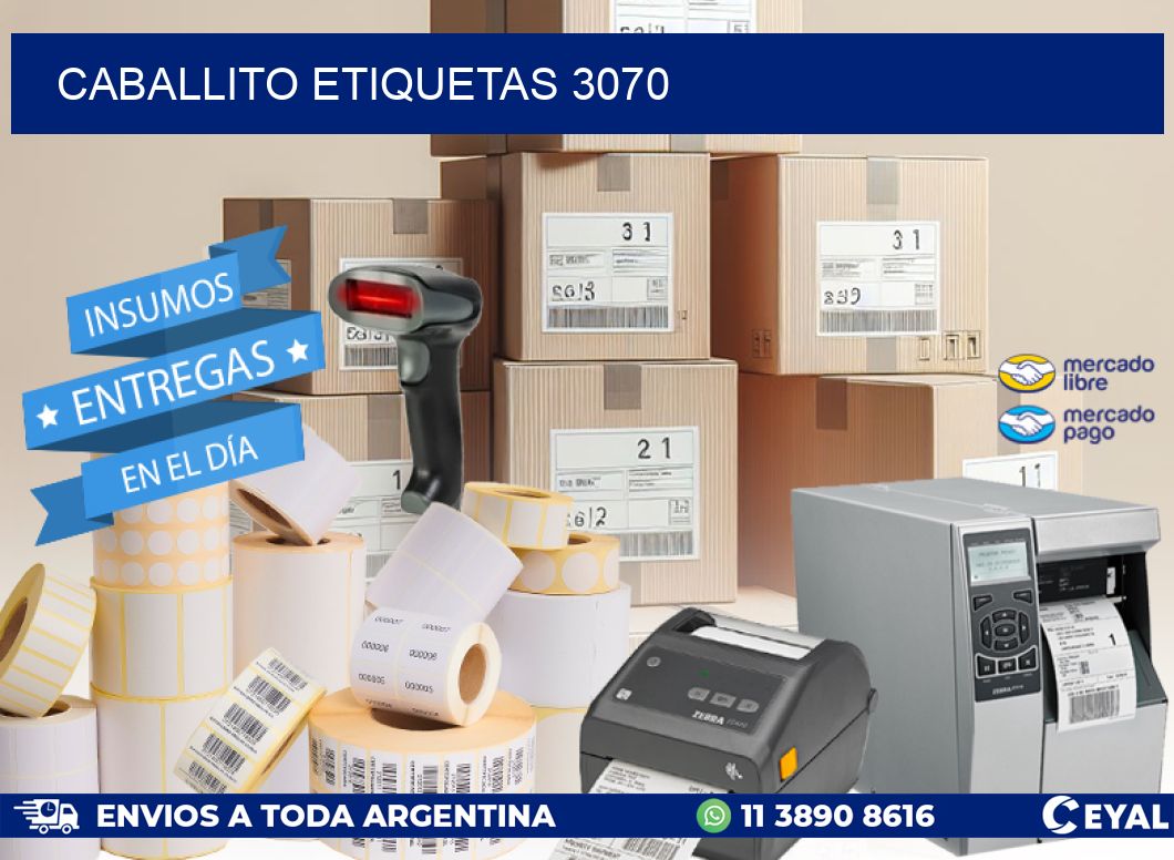 Caballito etiquetas 3070