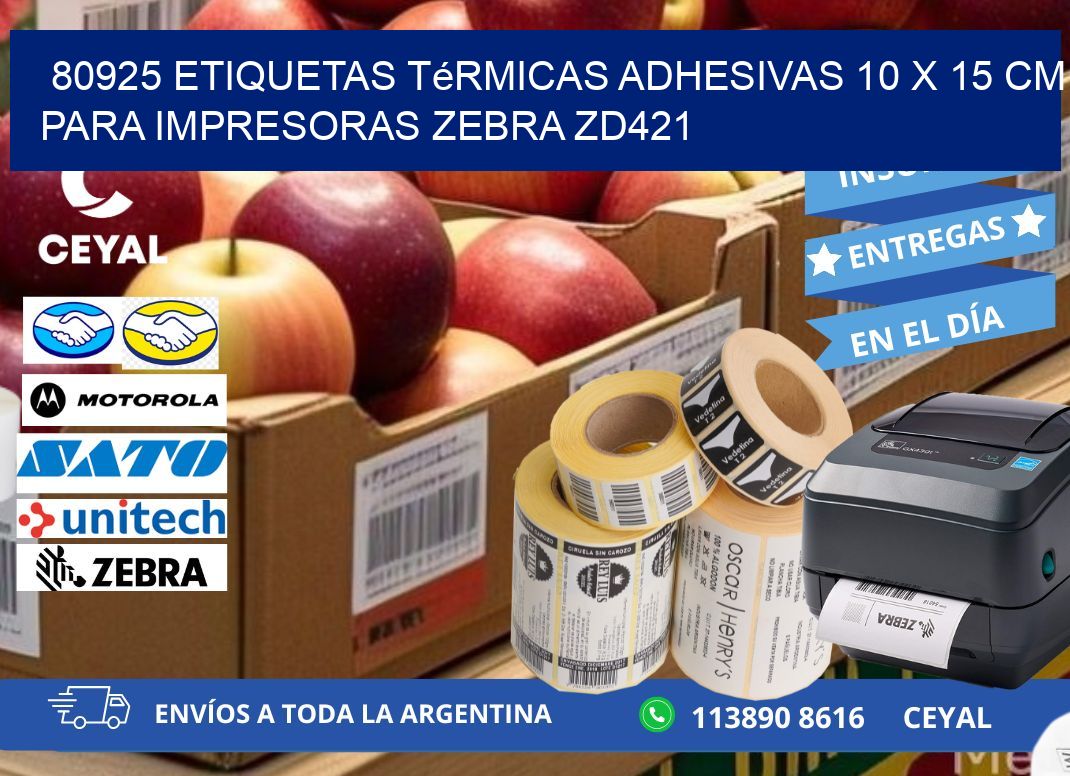 80925 Etiquetas Térmicas Adhesivas 10 x 15 cm para Impresoras Zebra ZD421