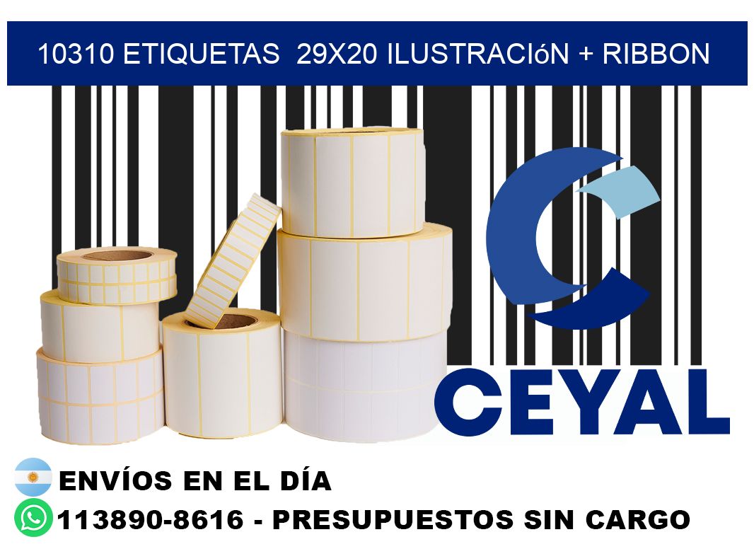 10310 etiquetas  29x20 ilustración + ribbon