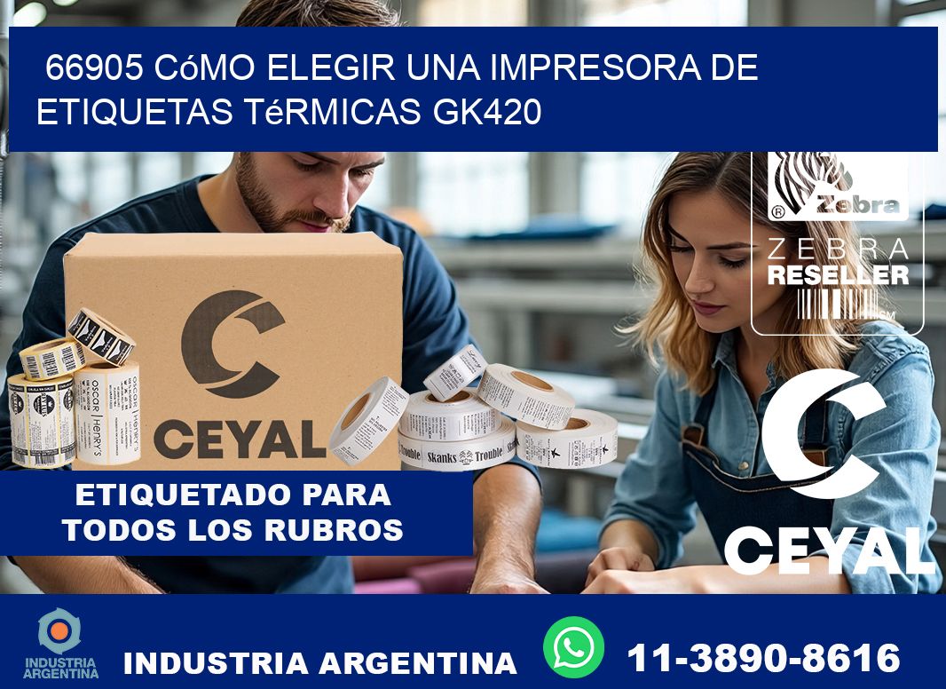 66905 cómo elegir una impresora de etiquetas térmicas GK420