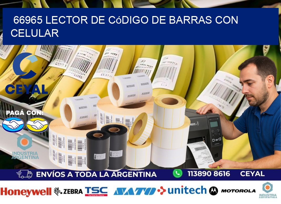 66965 Lector de código de barras con celular