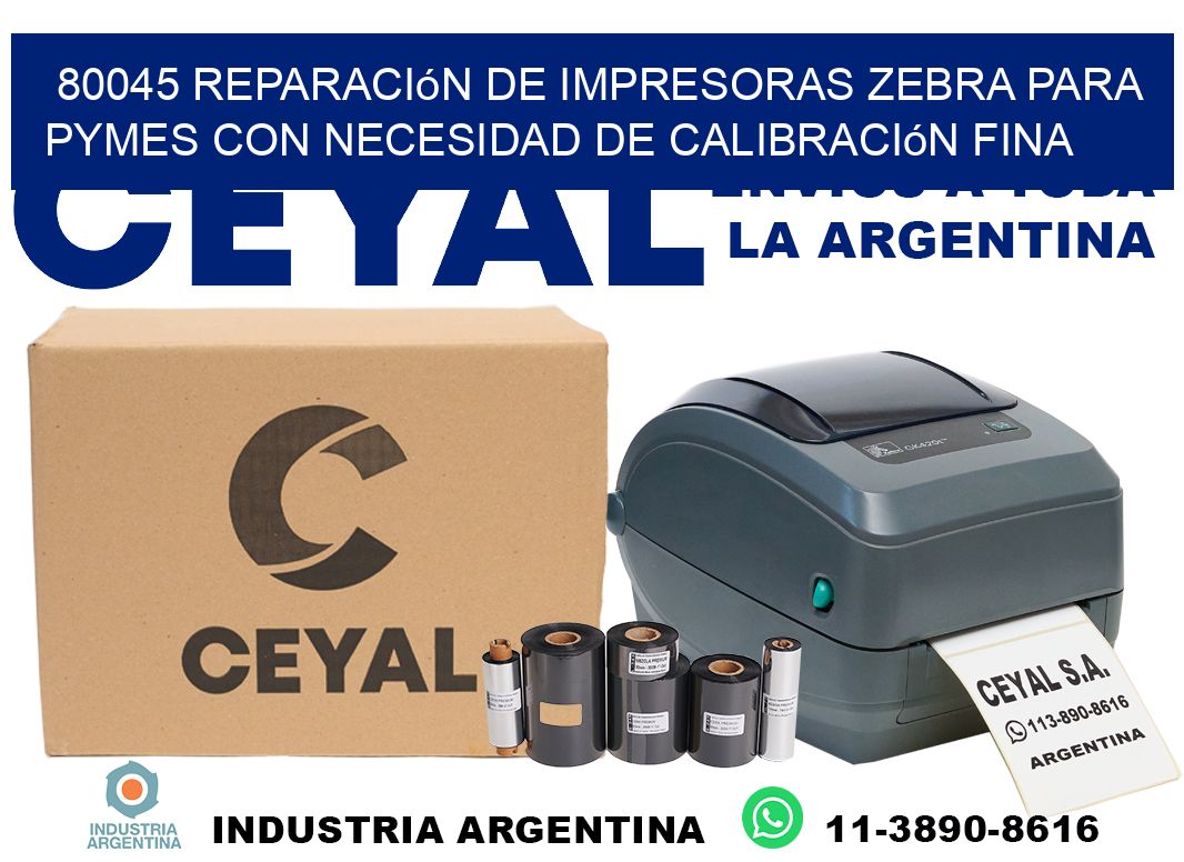 80045 reparación de impresoras zebra para pymes con necesidad de calibración fina