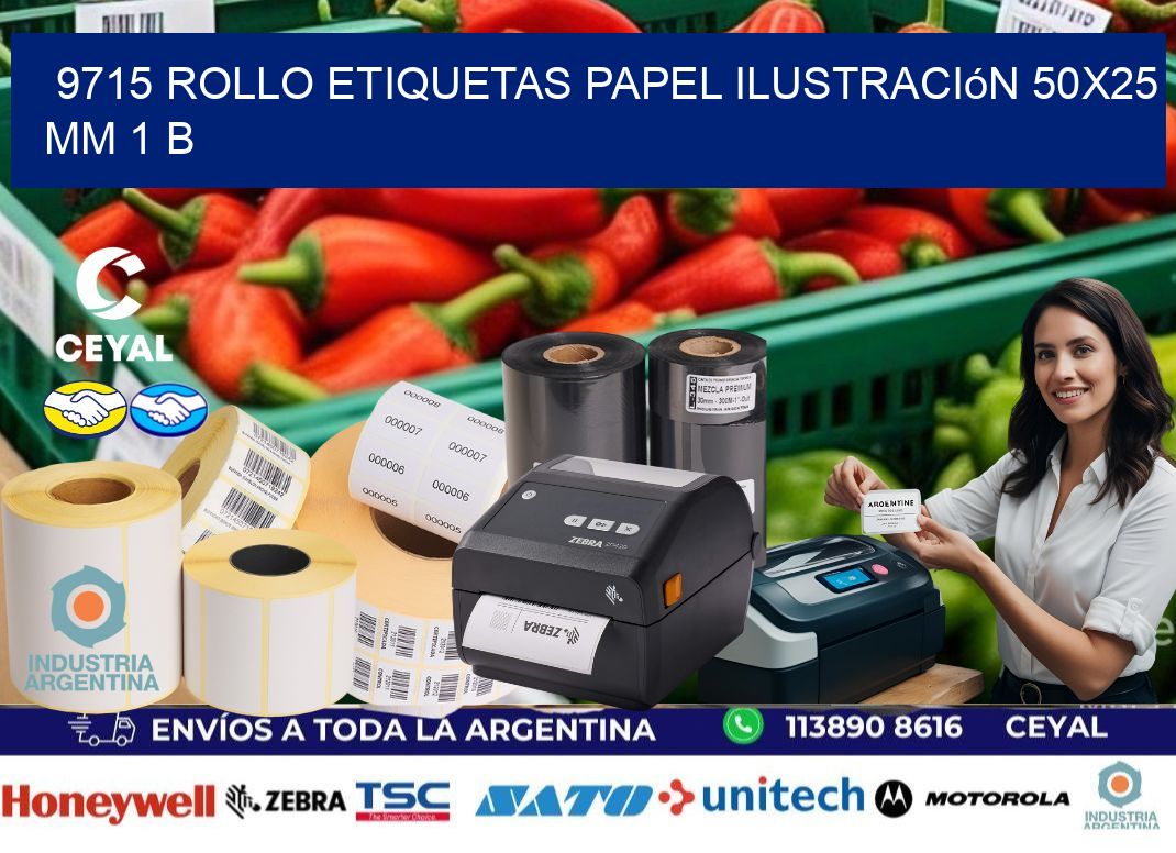 9715 Rollo Etiquetas Papel Ilustración 50x25 Mm 1 B