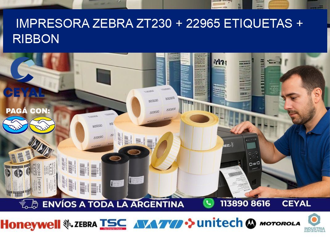 impresora zebra zt230 + 22965 etiquetas + ribbon