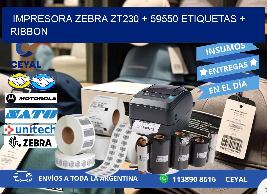 impresora zebra zt230 + 59550 etiquetas + ribbon