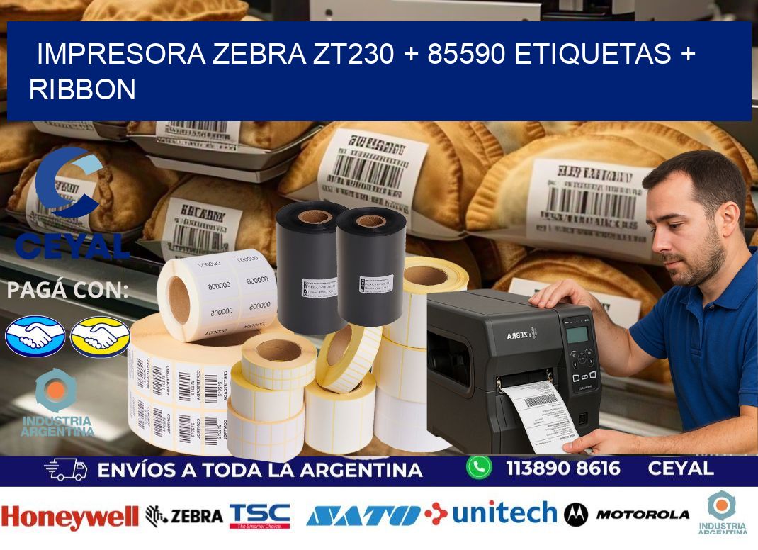 impresora zebra zt230 + 85590 etiquetas + ribbon