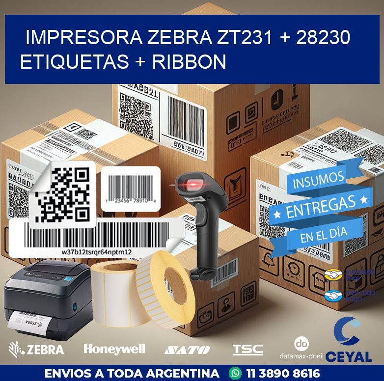 impresora zebra zt231 + 28230 etiquetas + ribbon