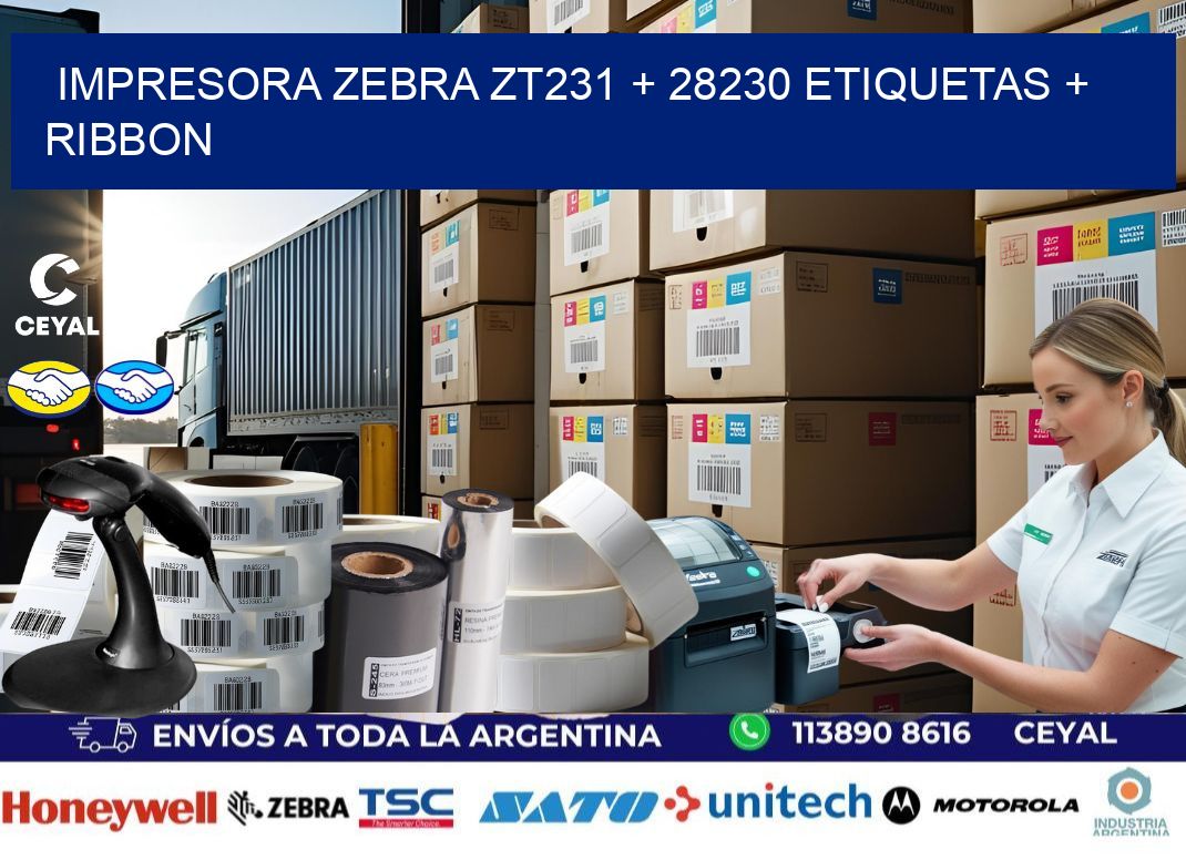 impresora zebra zt231 + 28230 etiquetas + ribbon