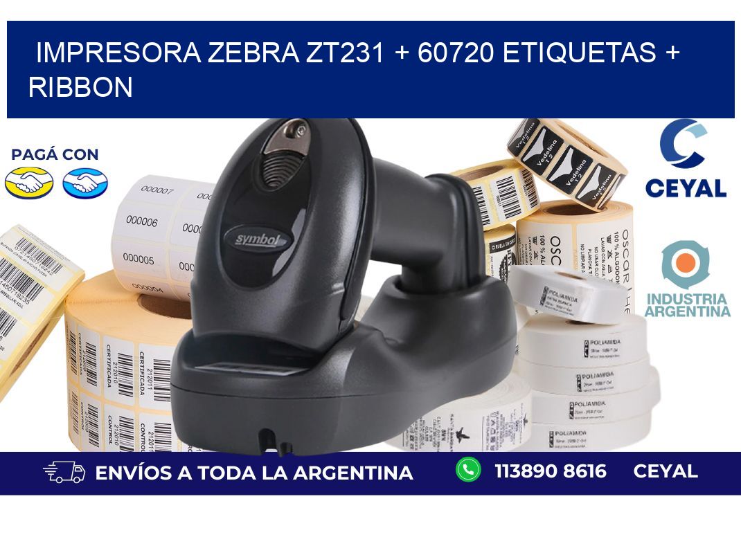 impresora zebra zt231 + 60720 etiquetas + ribbon