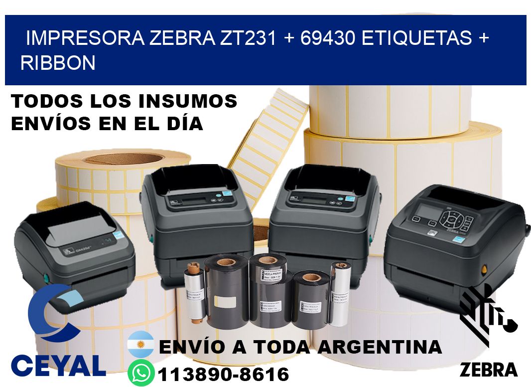 impresora zebra zt231 + 69430 etiquetas + ribbon