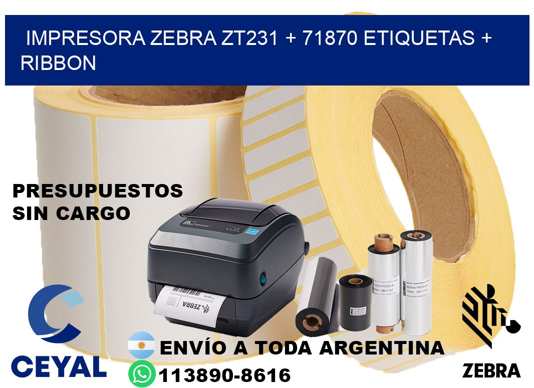 impresora zebra zt231 + 71870 etiquetas + ribbon