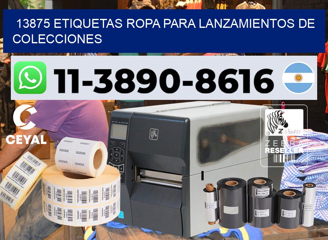 13875 Etiquetas ropa para lanzamientos de colecciones