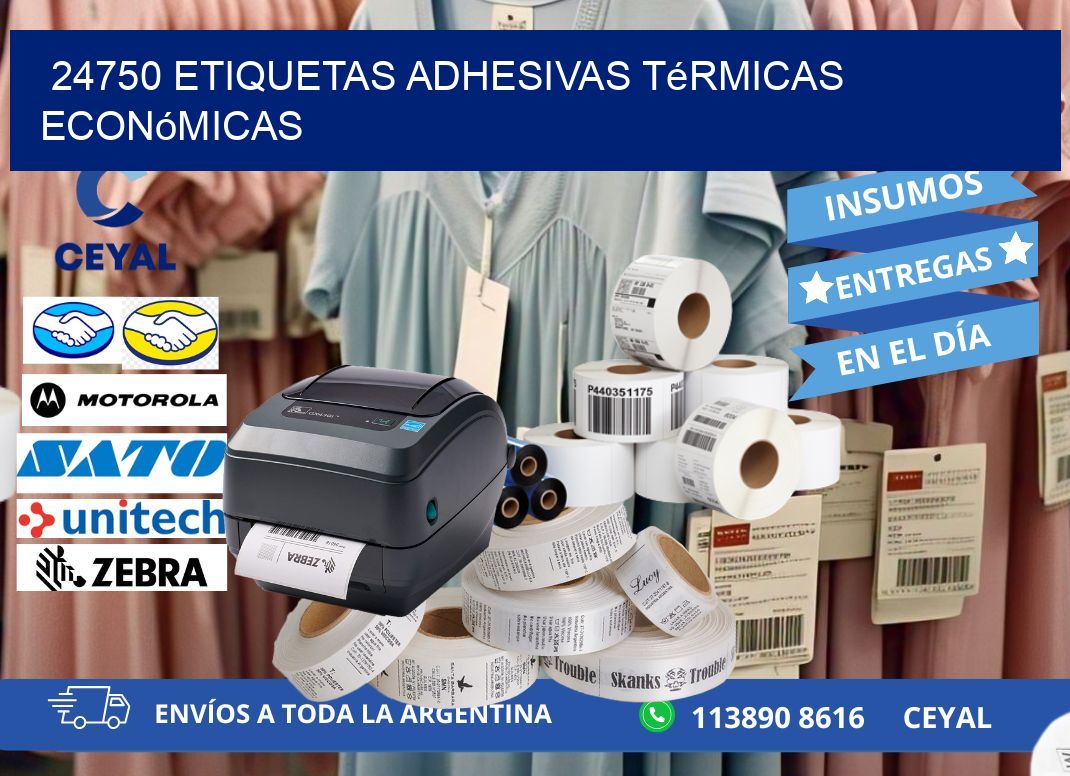 24750 etiquetas adhesivas térmicas económicas