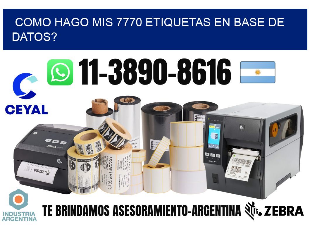 como hago mis 7770 etiquetas en base de datos?