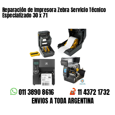 Reparación de Impresora Zebra Servicio Técnico Especializado 30 x 71