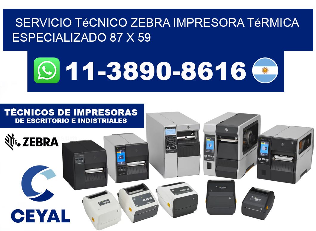 Servicio Técnico Zebra Impresora Térmica Especializado 87 x 59