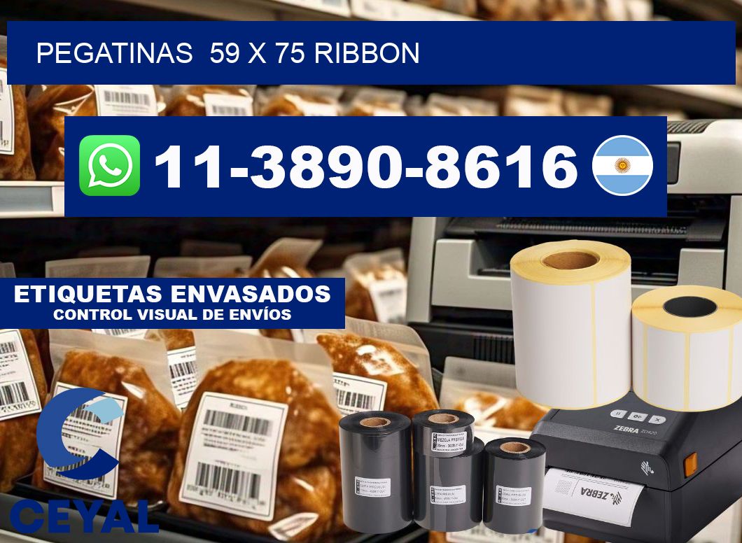 pegatinas  59 x 75 ribbon
