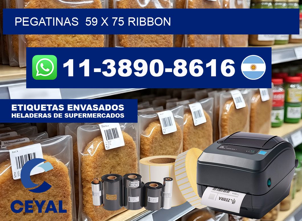 pegatinas  59 x 75 ribbon