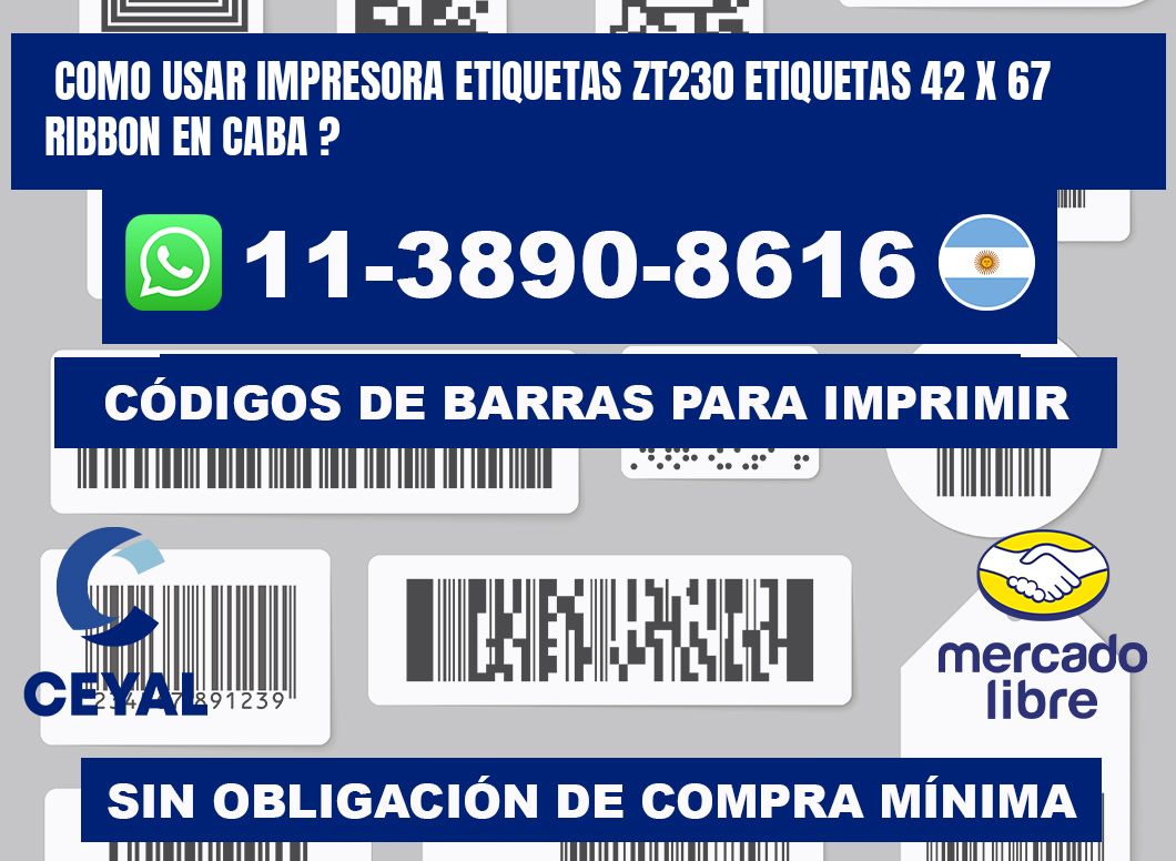 como usar impresora etiquetas zt230 etiquetas 42 x 67 ribbon en CABA ?