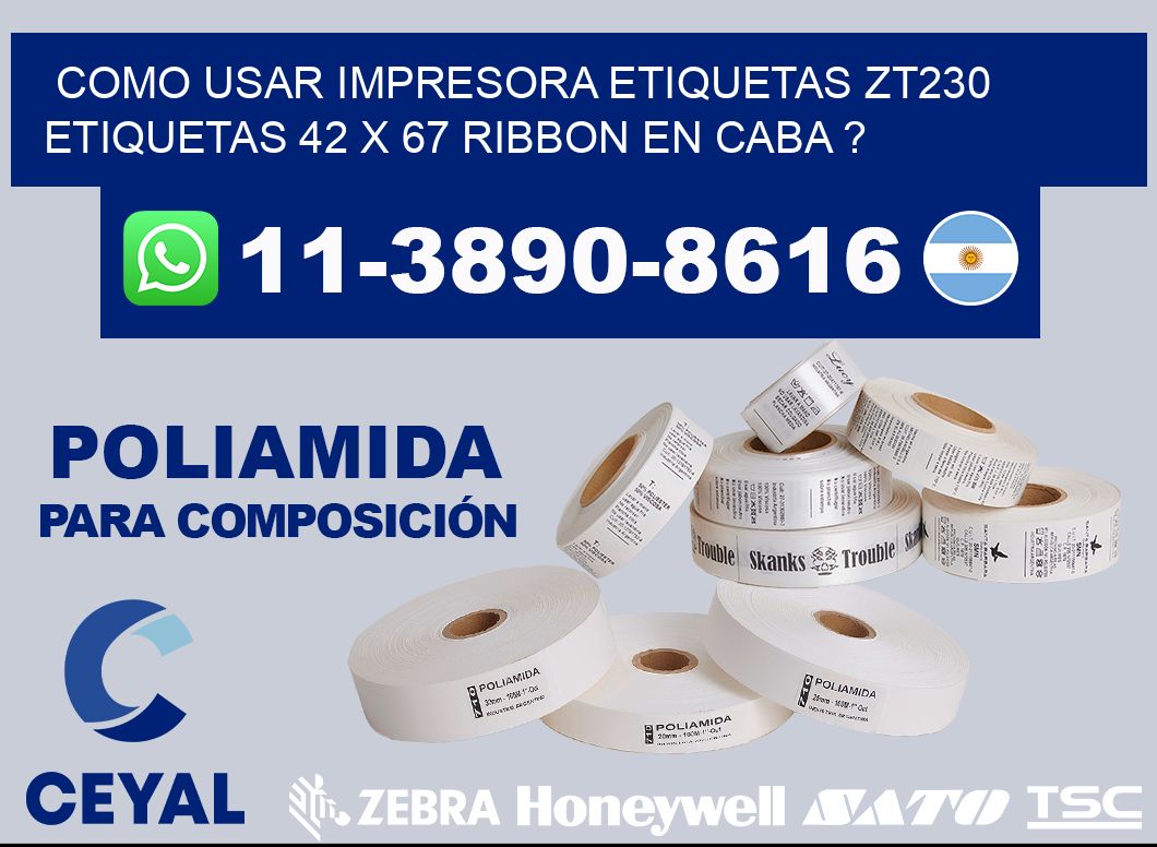 como usar impresora etiquetas zt230 etiquetas 42 x 67 ribbon en CABA ?