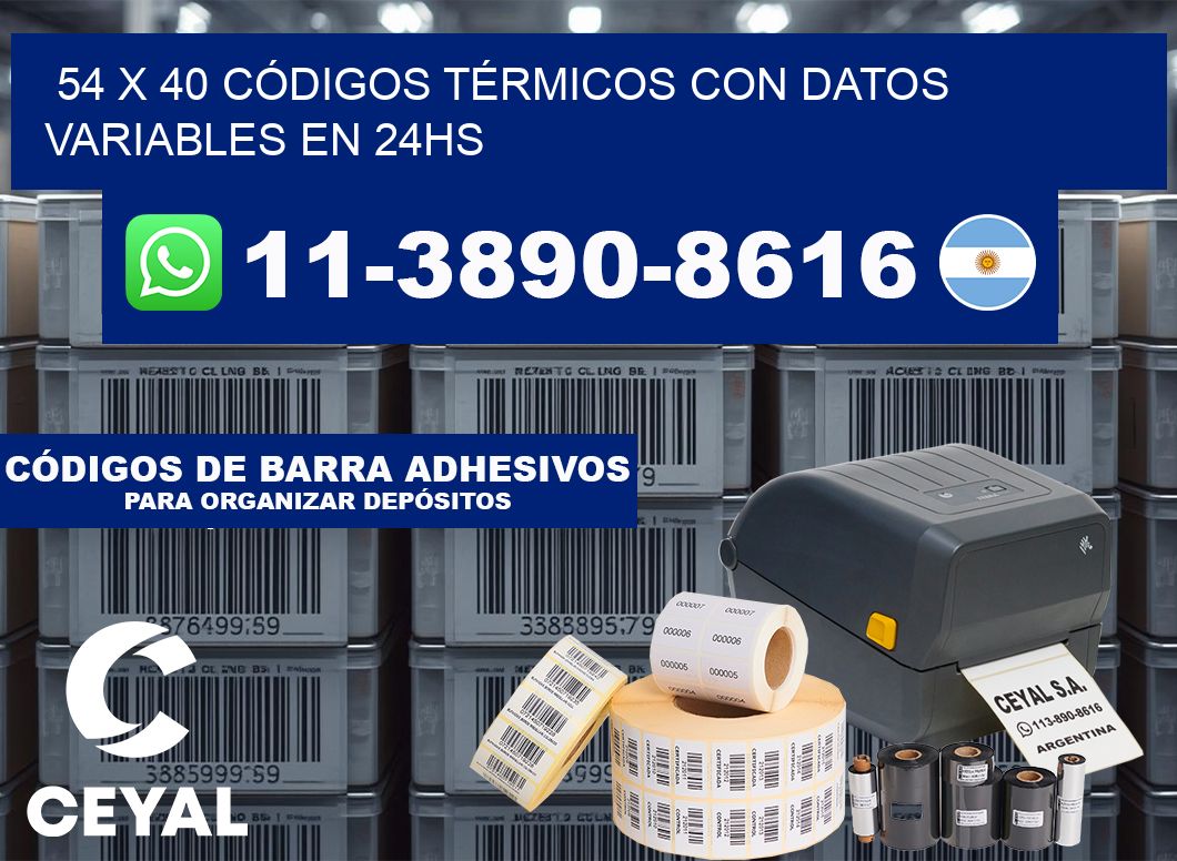 54 x 40 CÓDIGOS TÉRMICOS CON DATOS VARIABLES EN 24HS