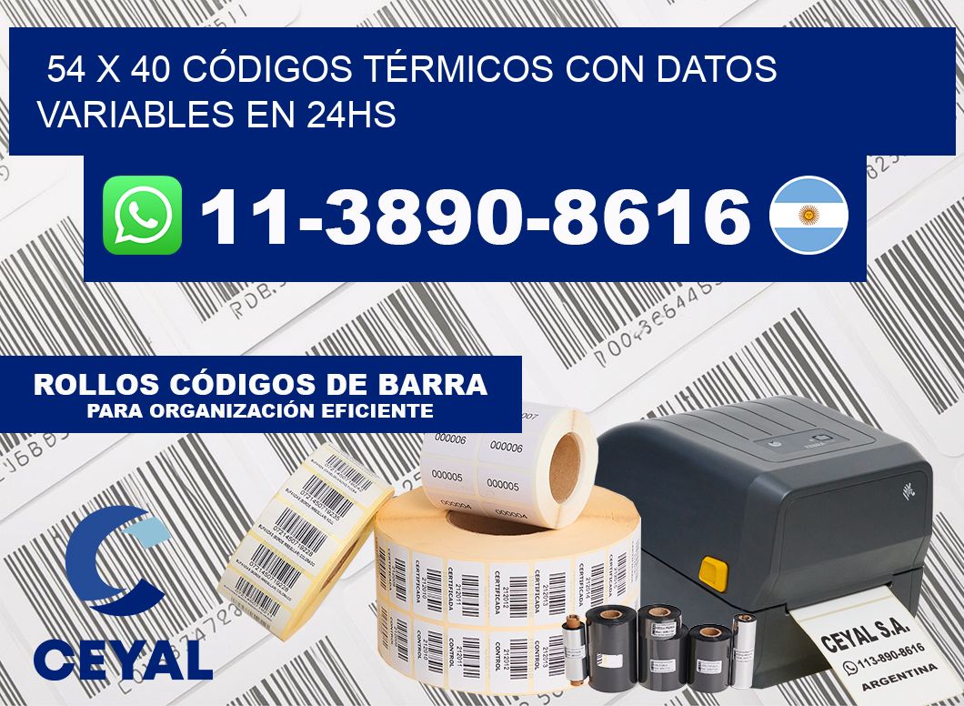 54 x 40 CÓDIGOS TÉRMICOS CON DATOS VARIABLES EN 24HS