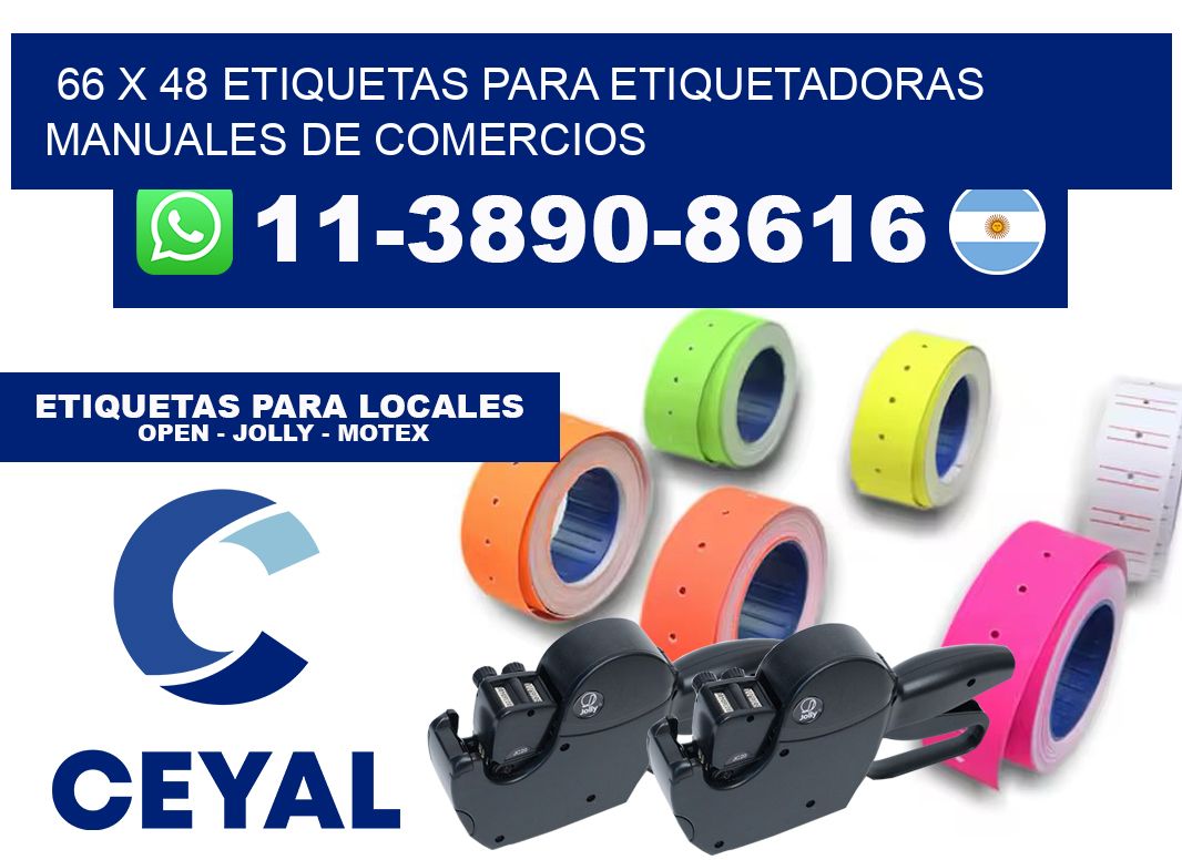 66 x 48 etiquetas para etiquetadoras manuales de comercios