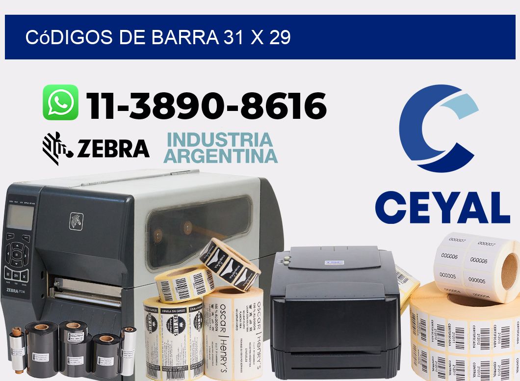 códigos de barra 31 x 29