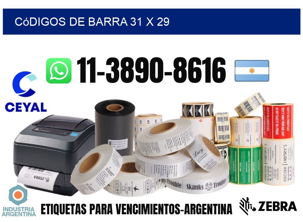 códigos de barra 31 x 29