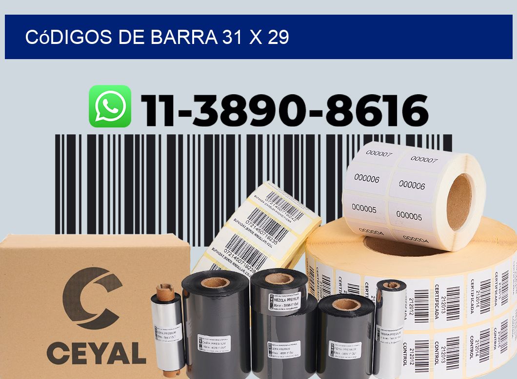 códigos de barra 31 x 29