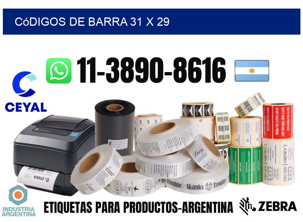 códigos de barra 31 x 29