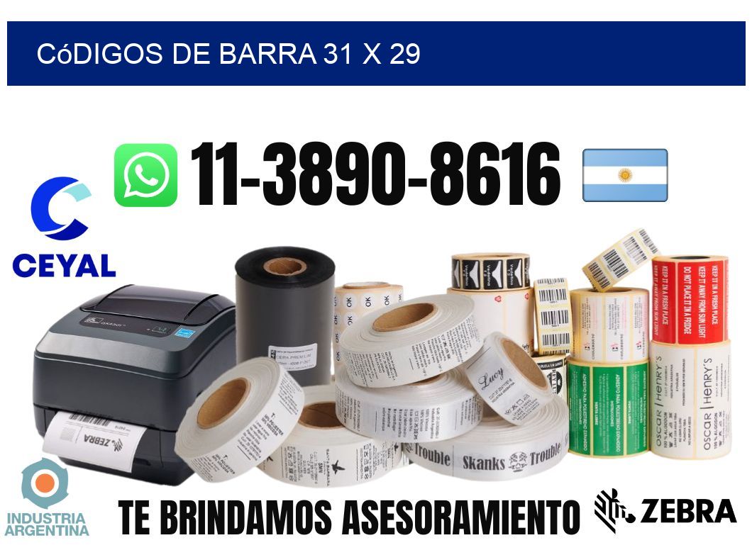 códigos de barra 31 x 29