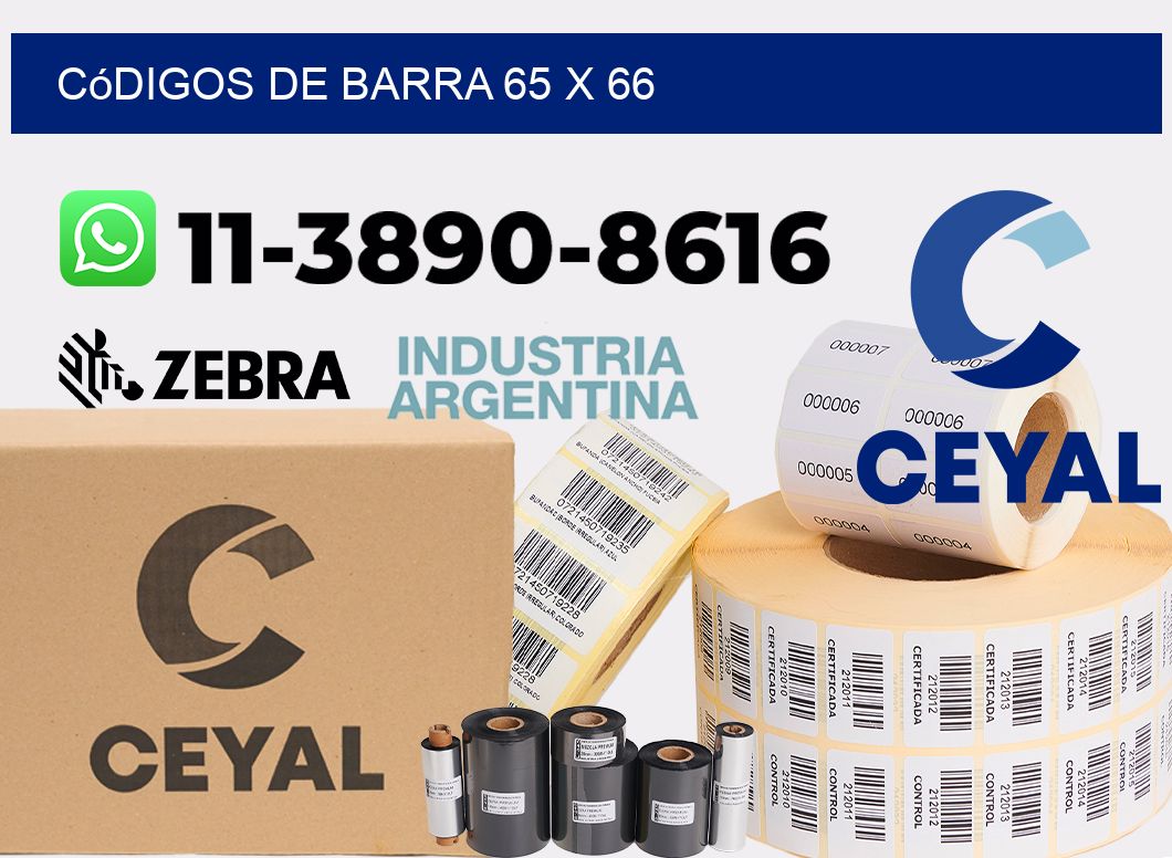 códigos de barra 65 x 66