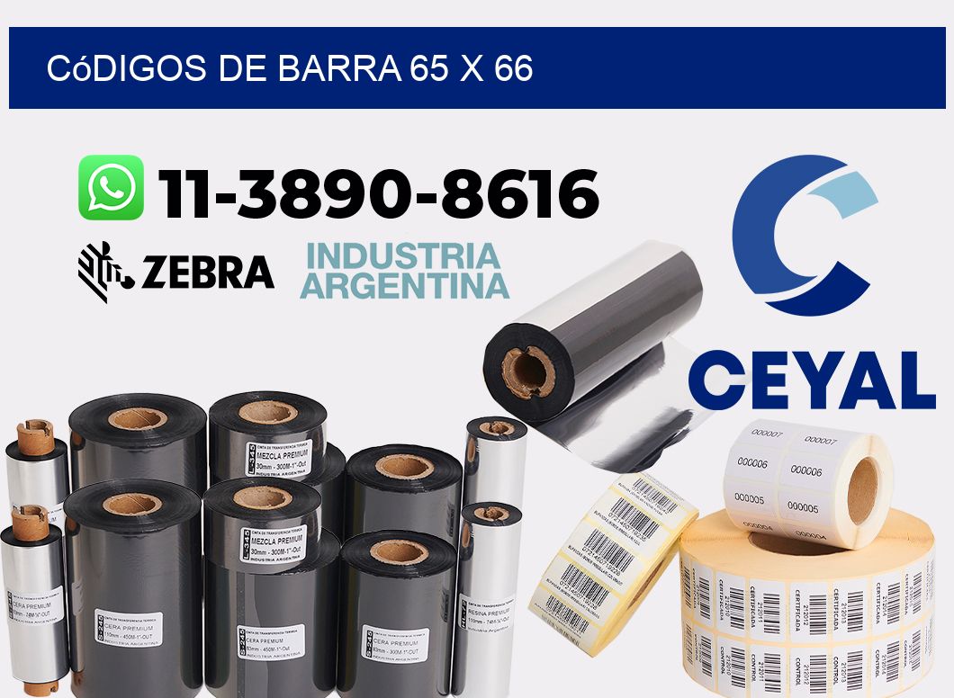 códigos de barra 65 x 66
