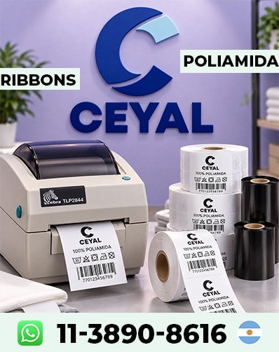 COMO UTILIZAR RIBBON RESINA - Empezá ahora